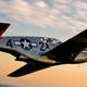 A restored P-51C Mustang with the markings of the 99th Pursuit Squadron (Max Haynes)